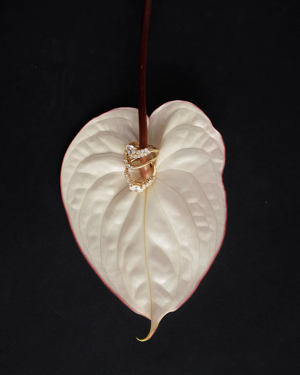 Amelie Curved Band - Image 4