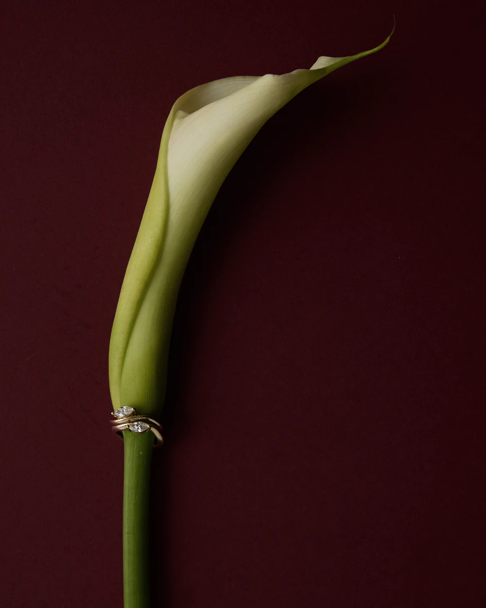 Astra Marquise Pinky Ring - Ready in 7 Days - Image 9